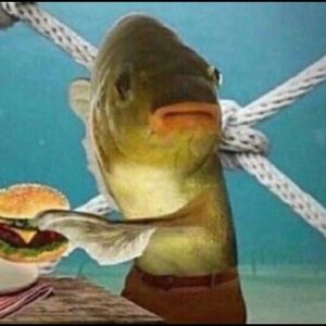 Meet your Posher, Brady